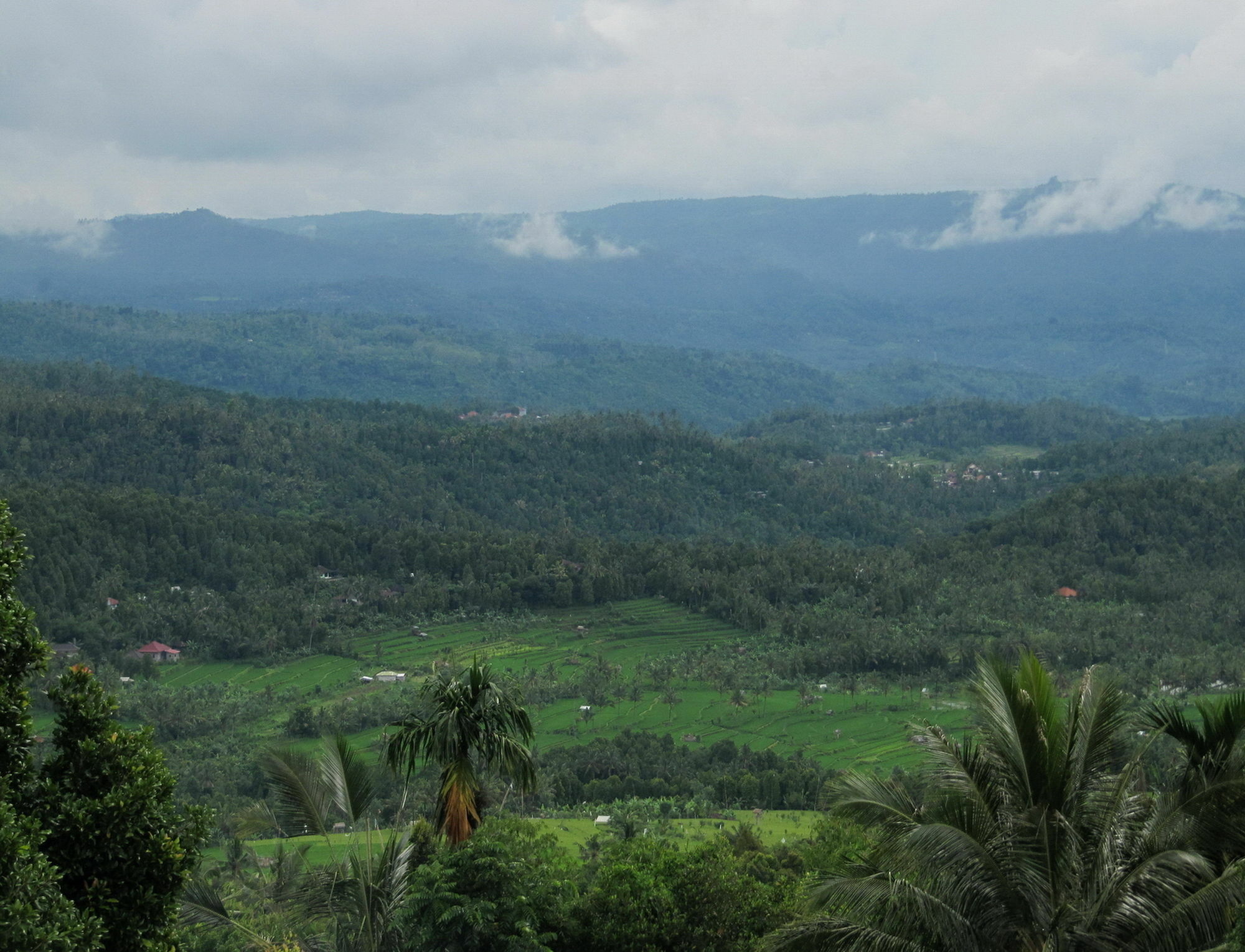 Karang Sari Guesthouse & Warung 姆杜克 外观 照片