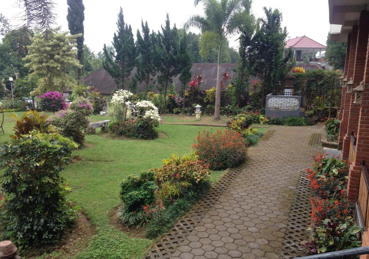 Karang Sari Guesthouse & Warung 姆杜克 外观 照片